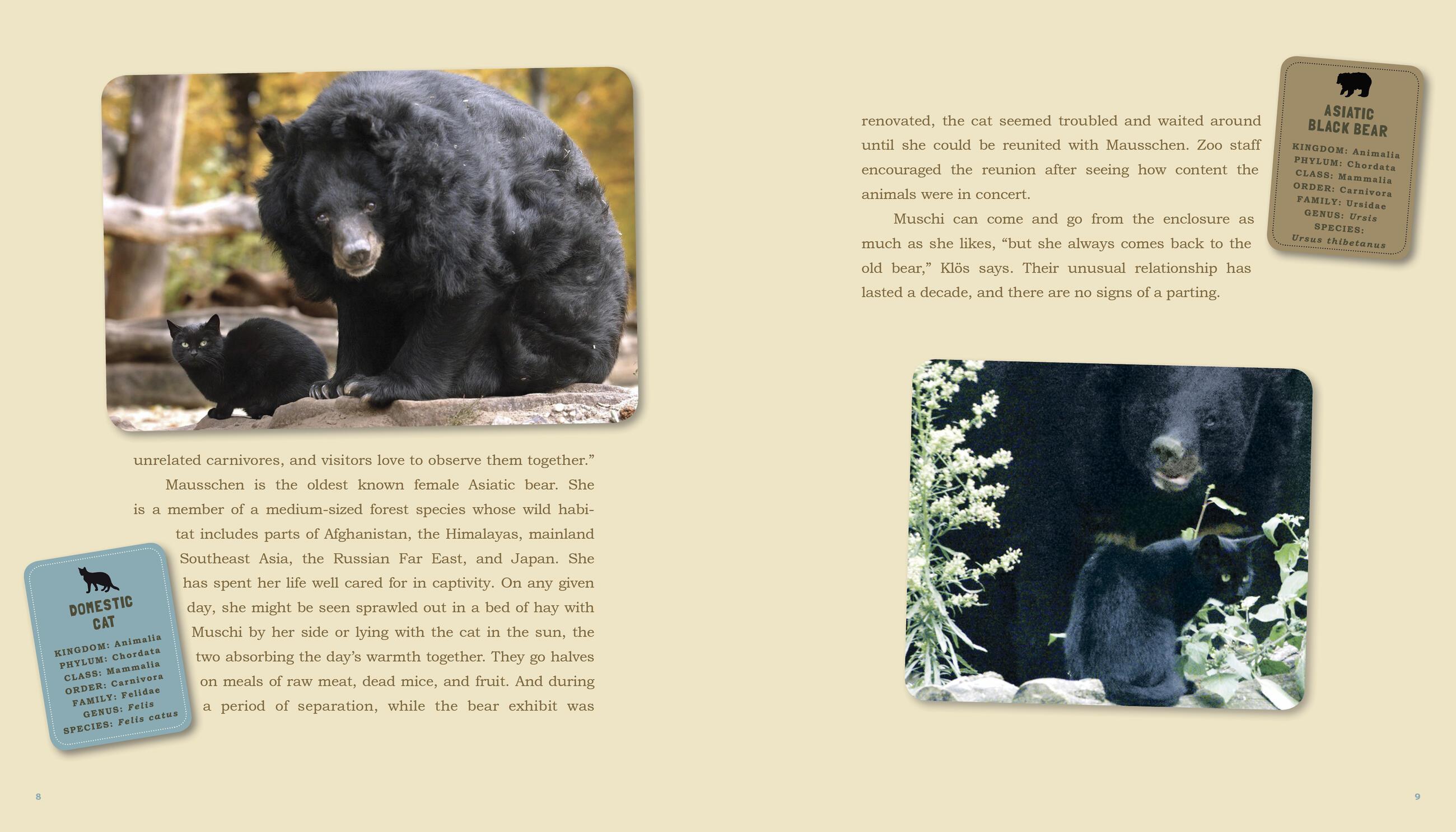 Beispielinhalt (Bild) Unlikely Friendships