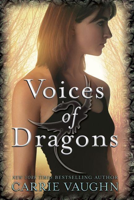 Vorderes Coverbild Voices of Dragons