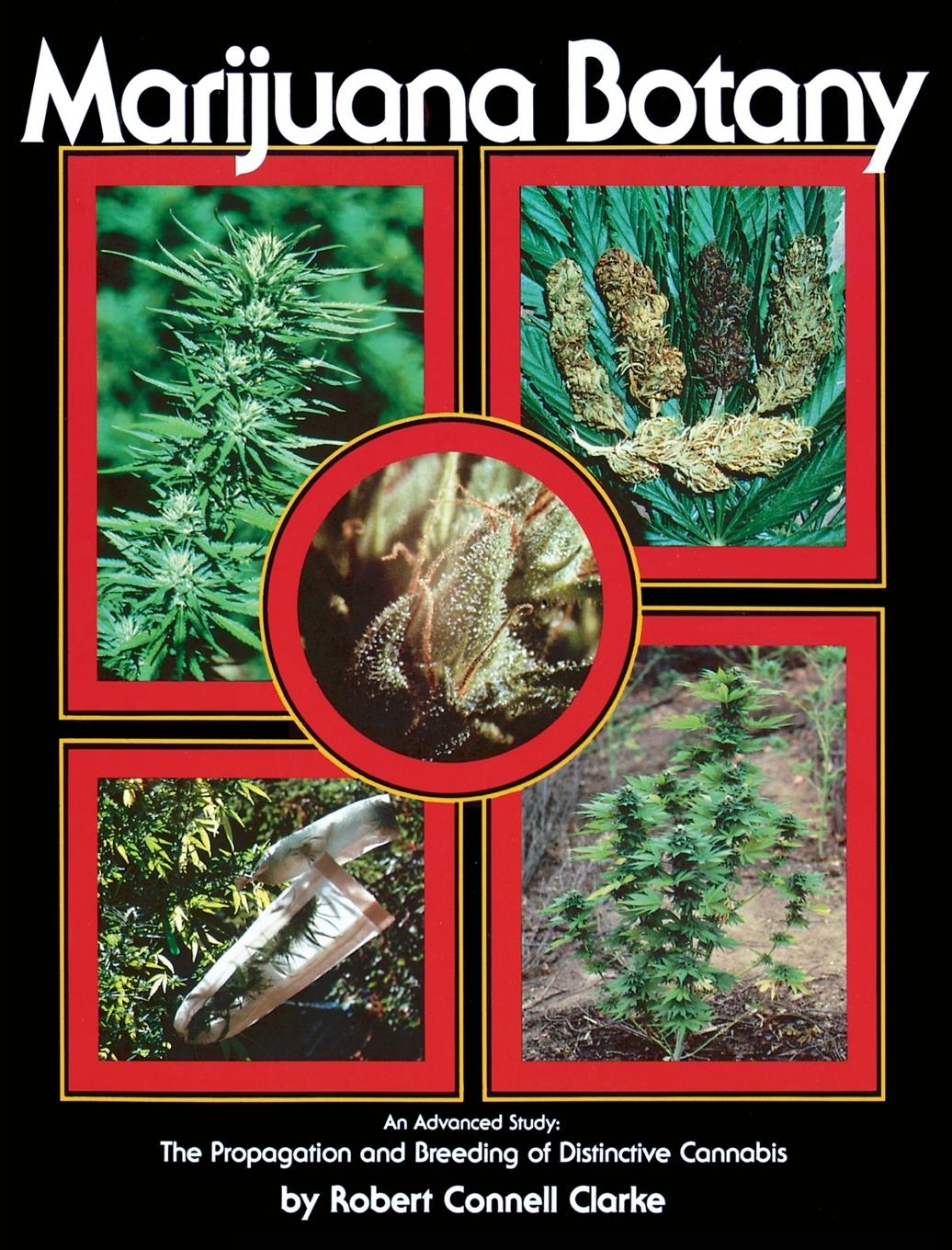 Vorderes Coverbild Marijuana Botany