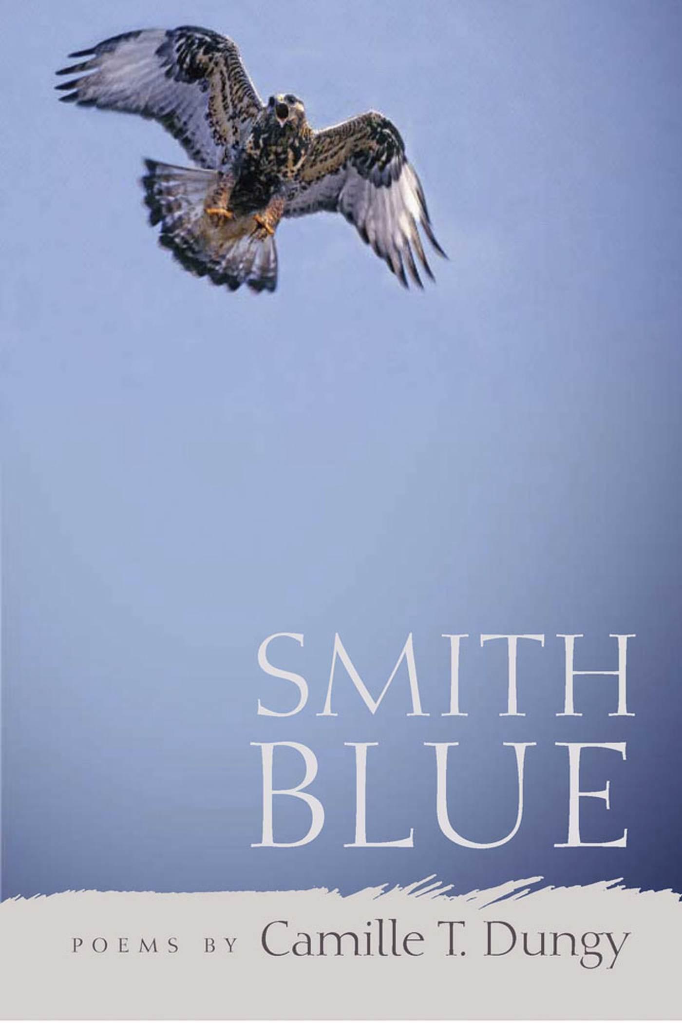Vorderes Coverbild Smith Blue