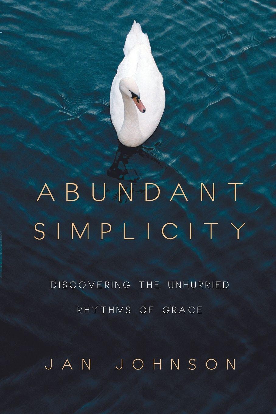 Vorderes Coverbild Abundant Simplicity