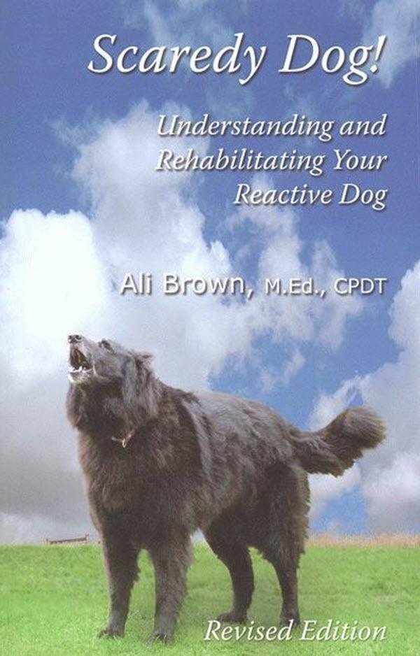 Vorderes Coverbild Scaredy Dog
