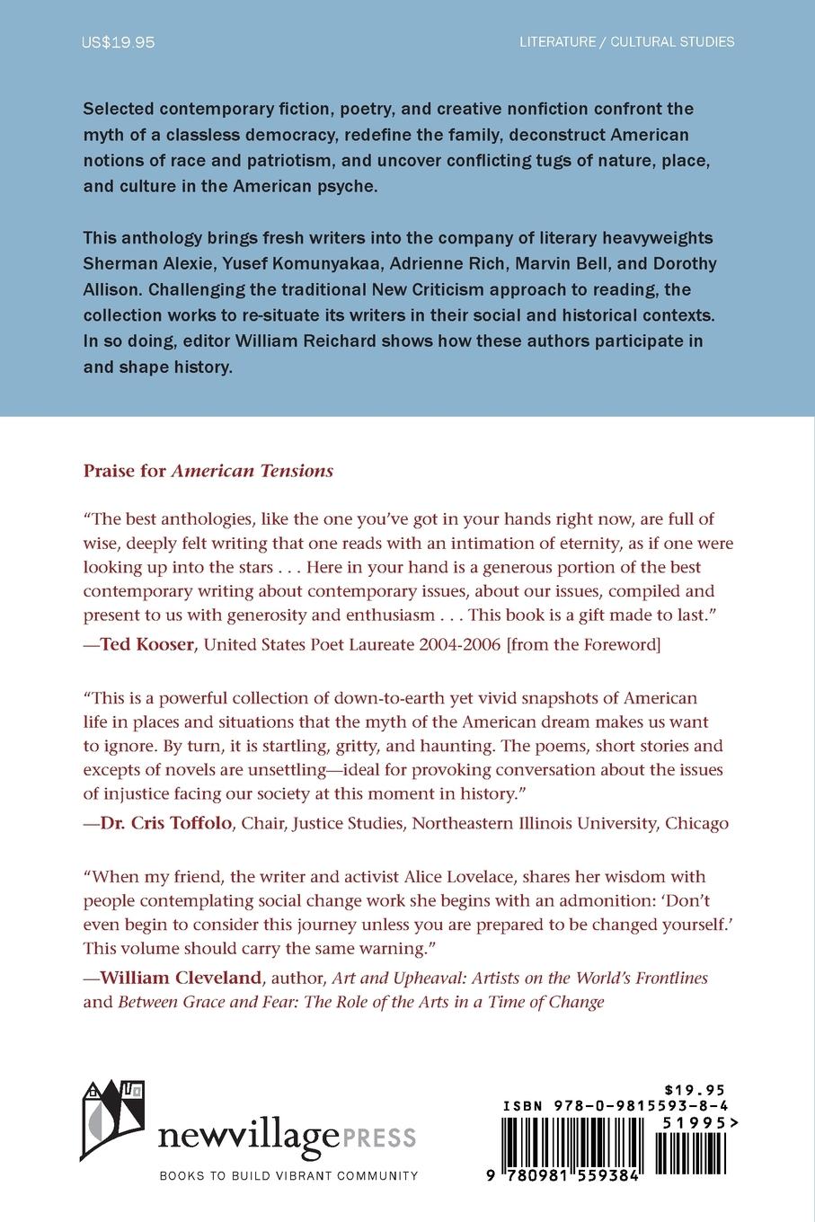 Rückseitencover American Tensions: Literature of Identity and the Search for Social Justice