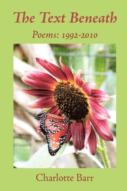 Vorderes Coverbild The Text Beneath