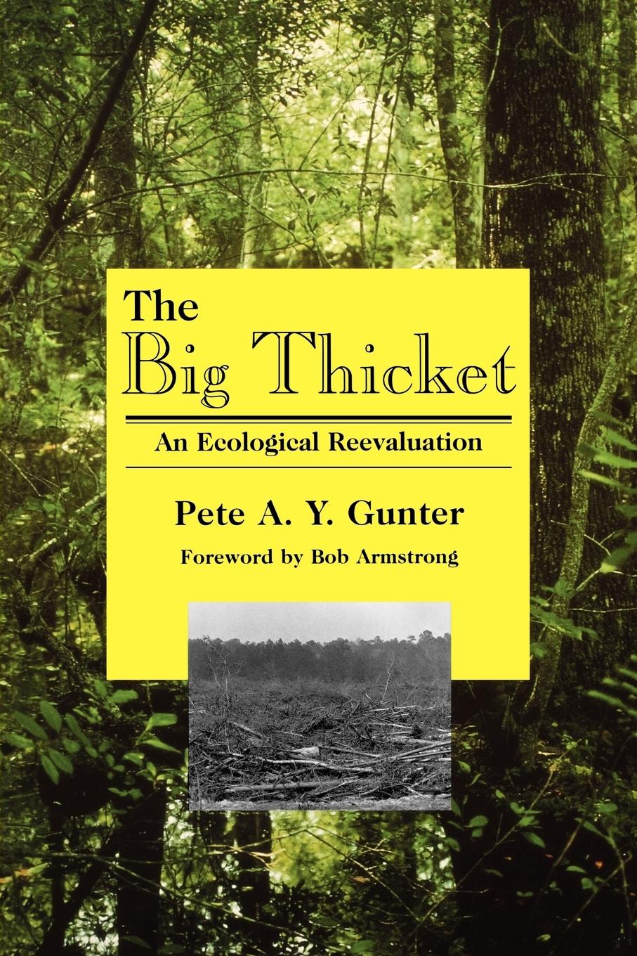 Vorderes Coverbild The Big Thicket