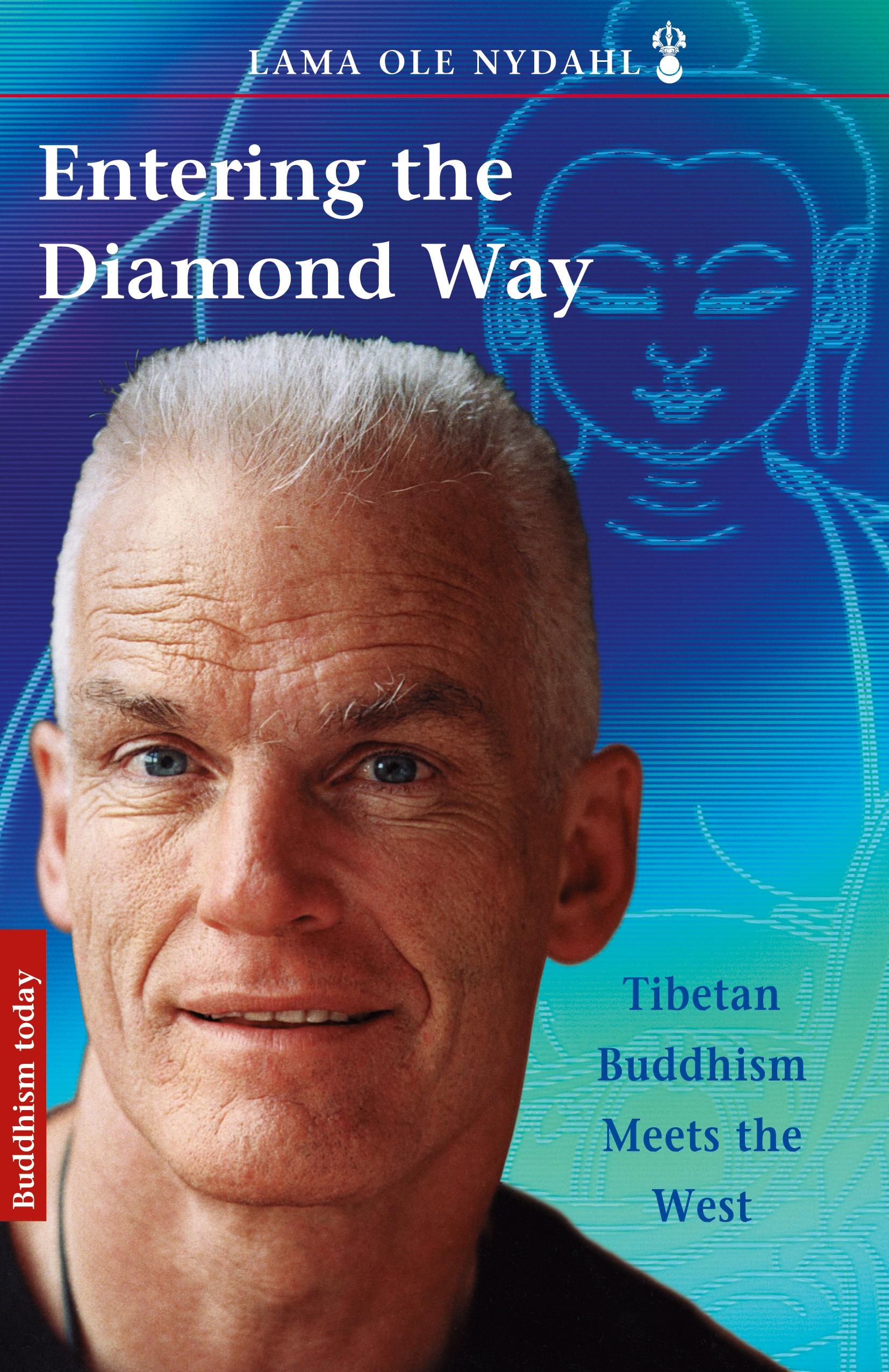 Vorderes Coverbild Entering the Diamond Way
