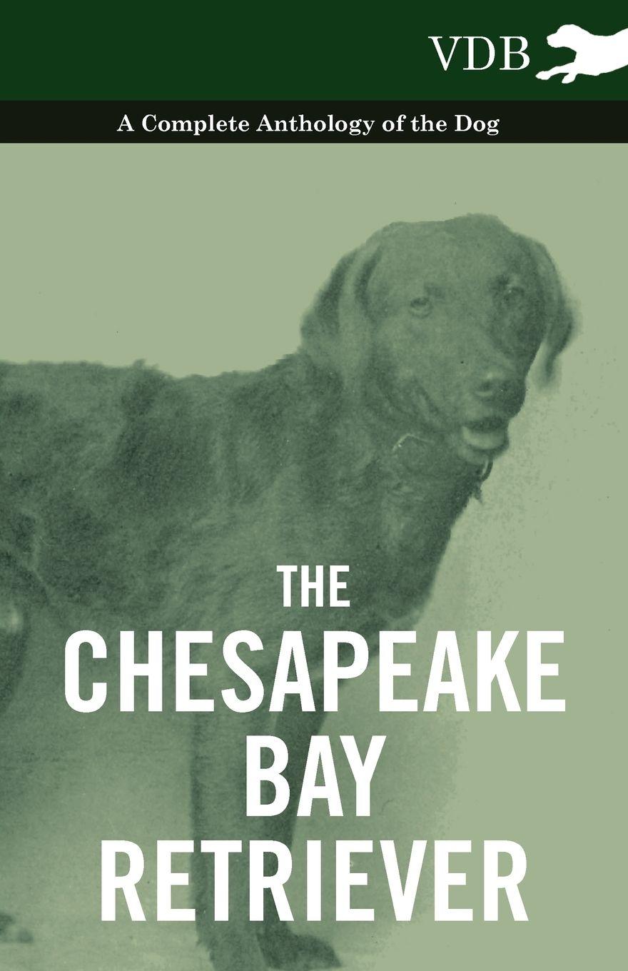 Vorderes Coverbild The Chesapeake Bay Retriever - A Complete Anthology of the Dog -
