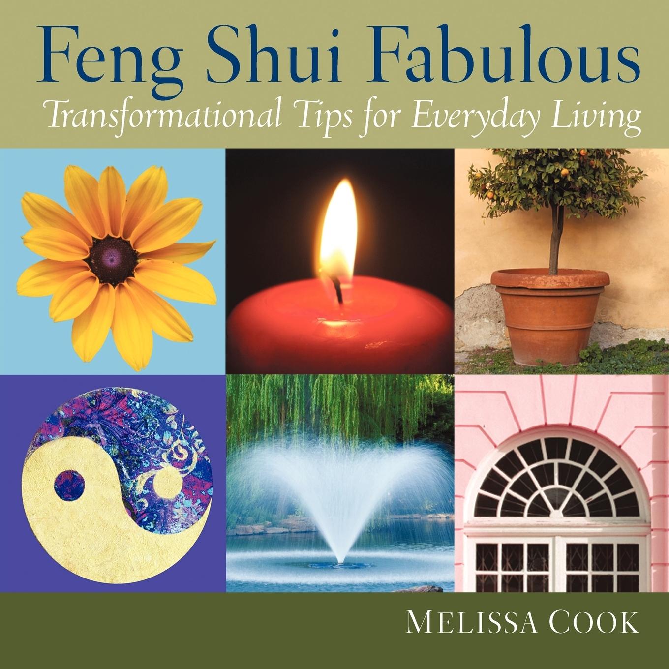 Vorderes Coverbild Feng Shui Fabulous