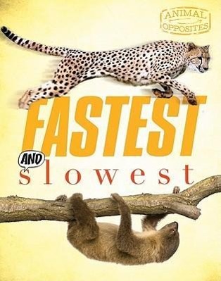 Vorderes Coverbild Fastest and Slowest