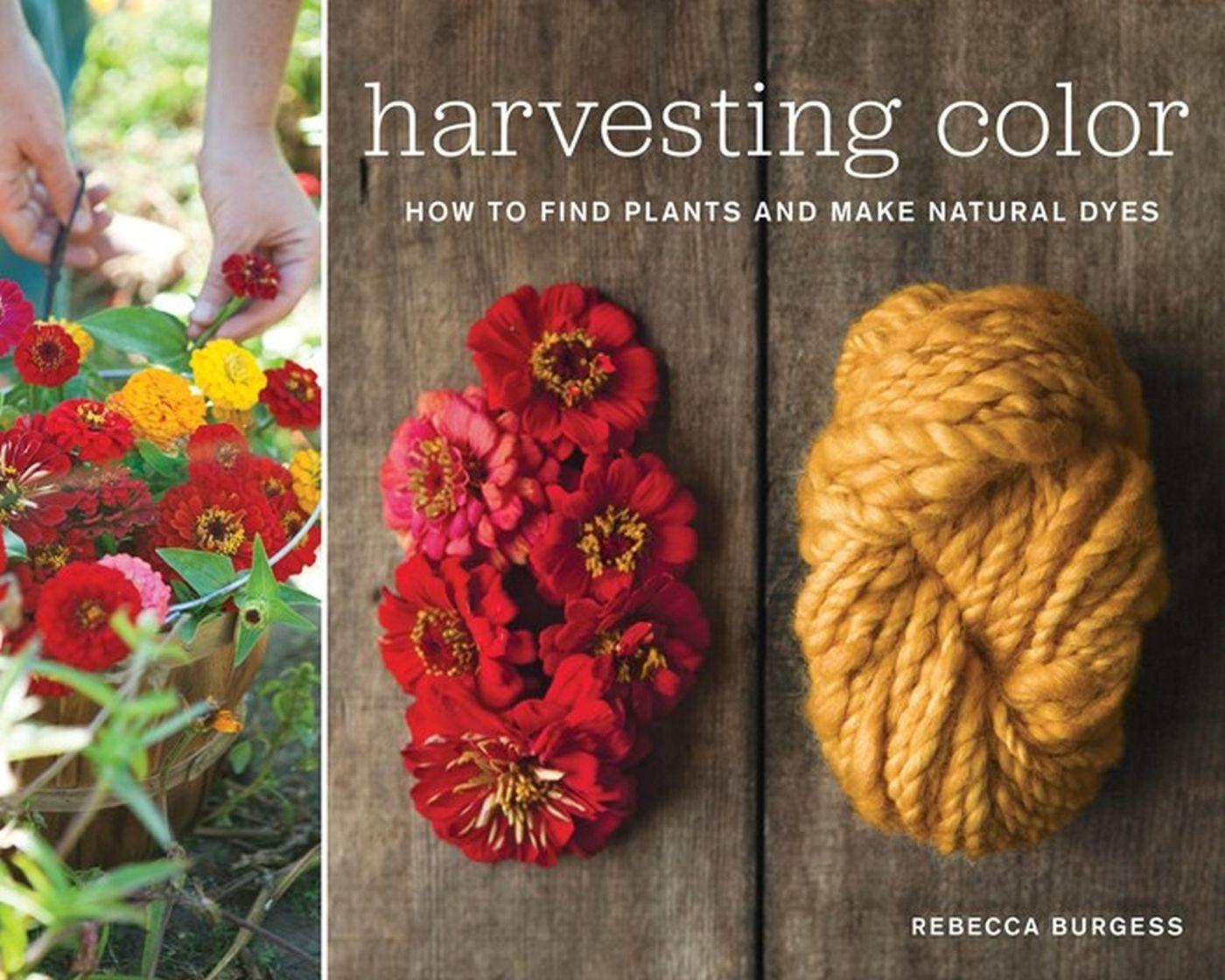 Vorderes Coverbild Harvesting Color