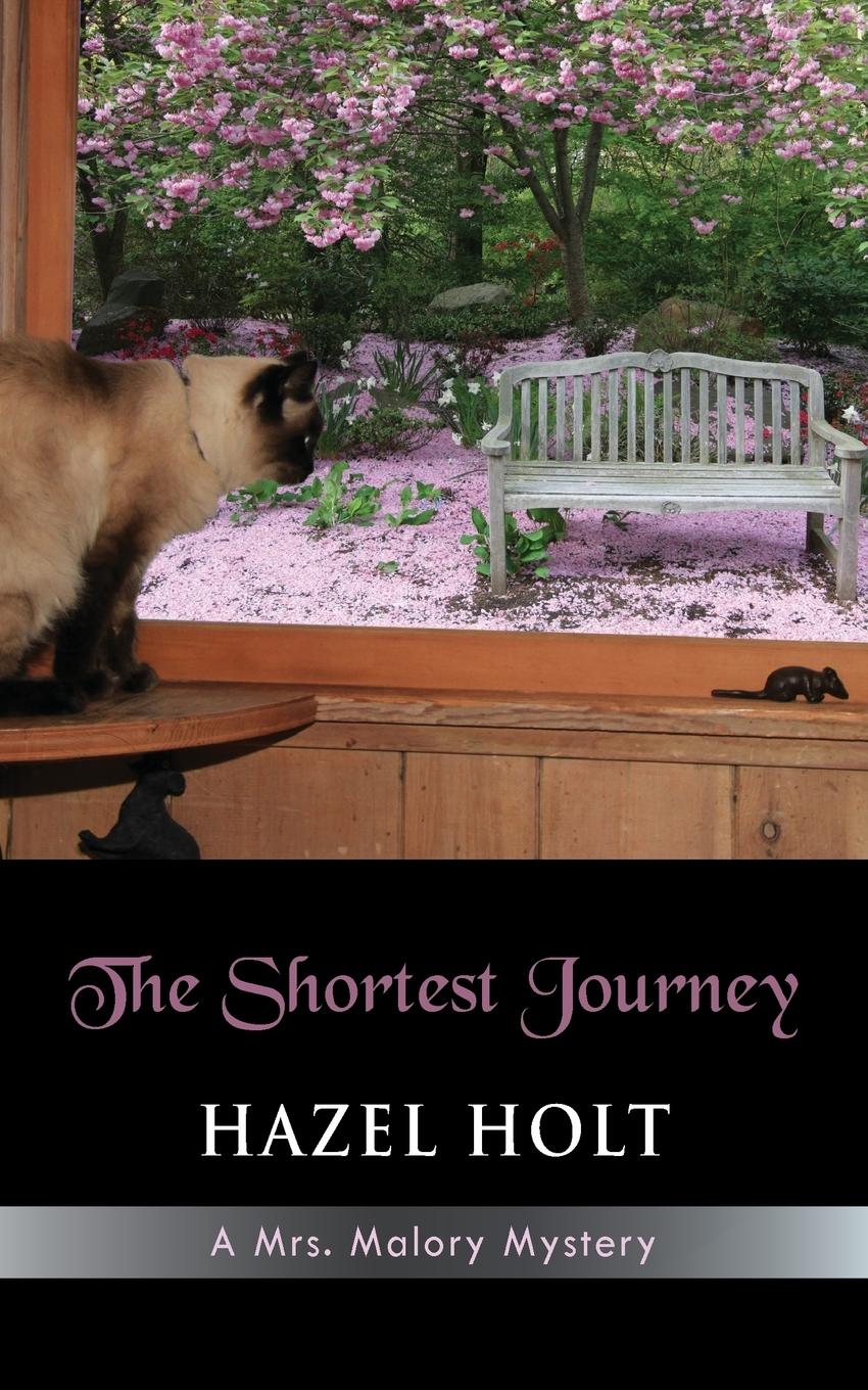 Vorderes Coverbild The Shortest Journey