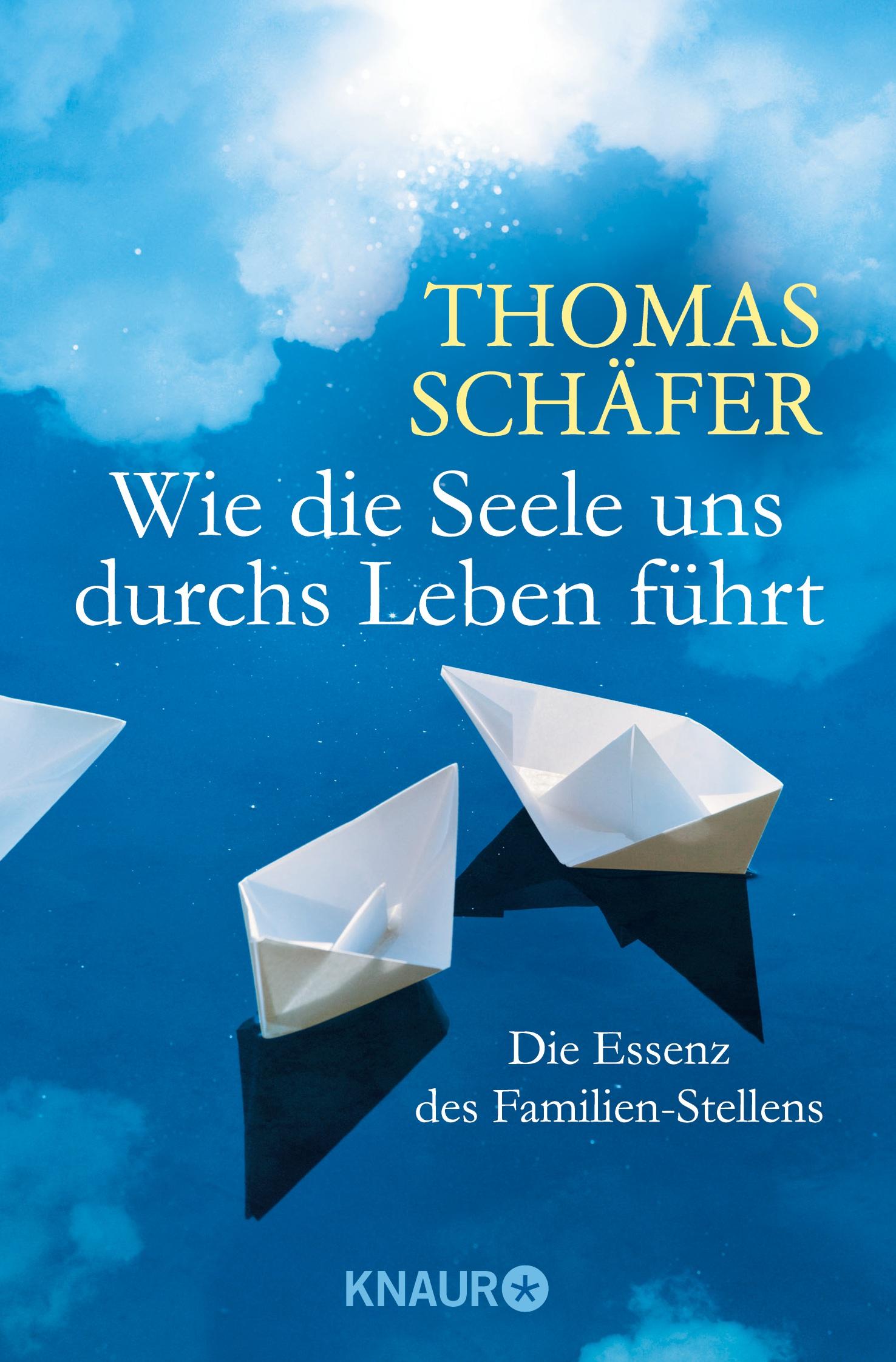 Vorderes Coverbild Wie die Seele uns durchs Leben führt