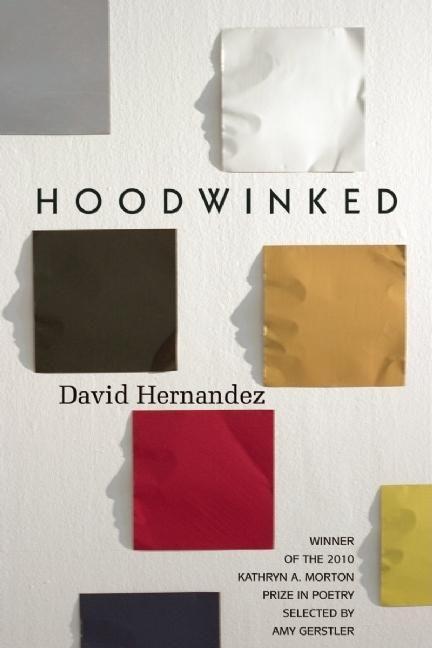 Vorderes Coverbild Hoodwinked