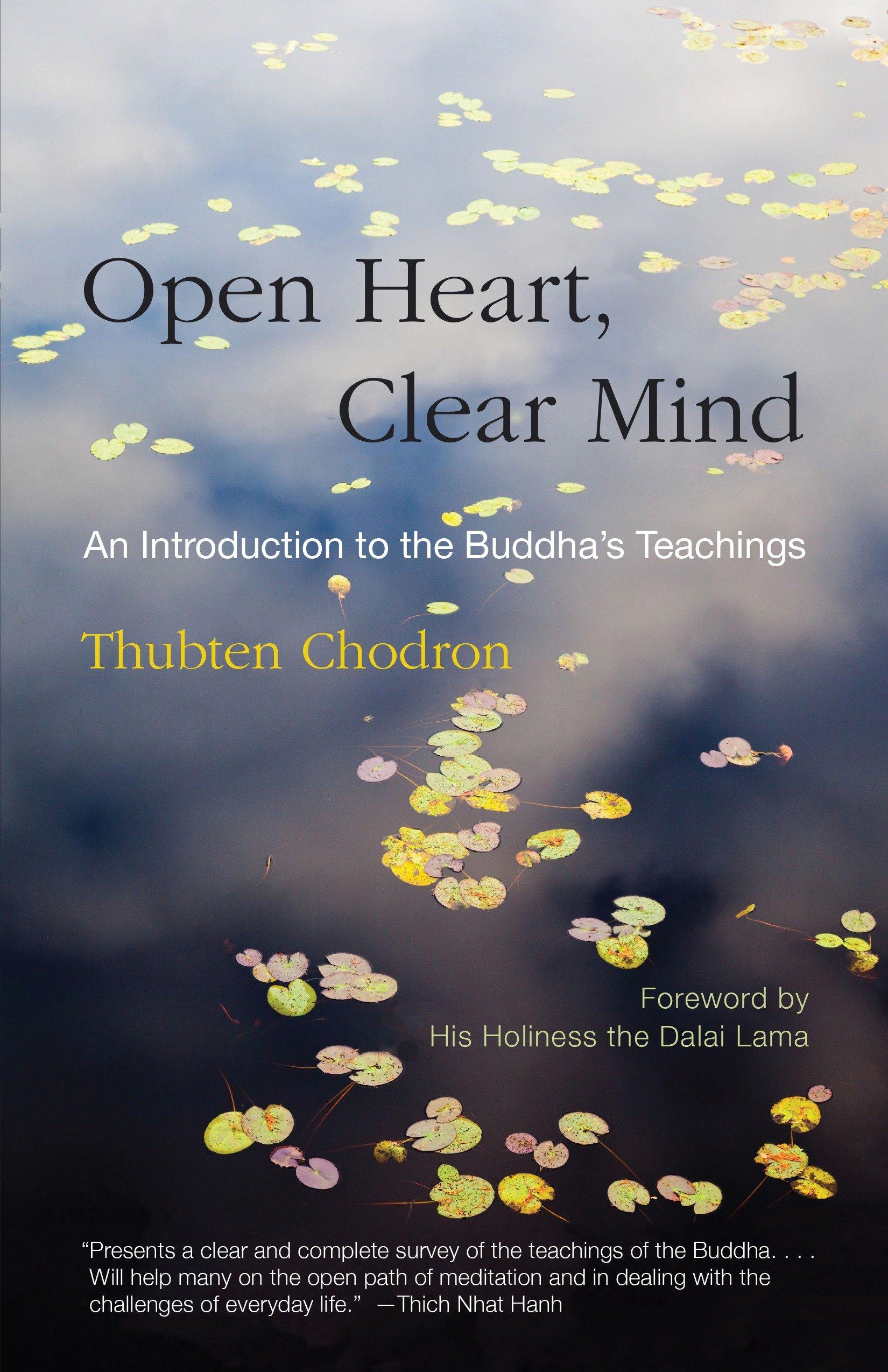 Vorderes Coverbild Open Heart, Clear Mind