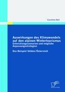 Vorderes Coverbild Auswirkungen des Klimawandels auf den alpinen Wintertourismus - Entwicklungsszenarien und mögliche Anpassungsstrategien
