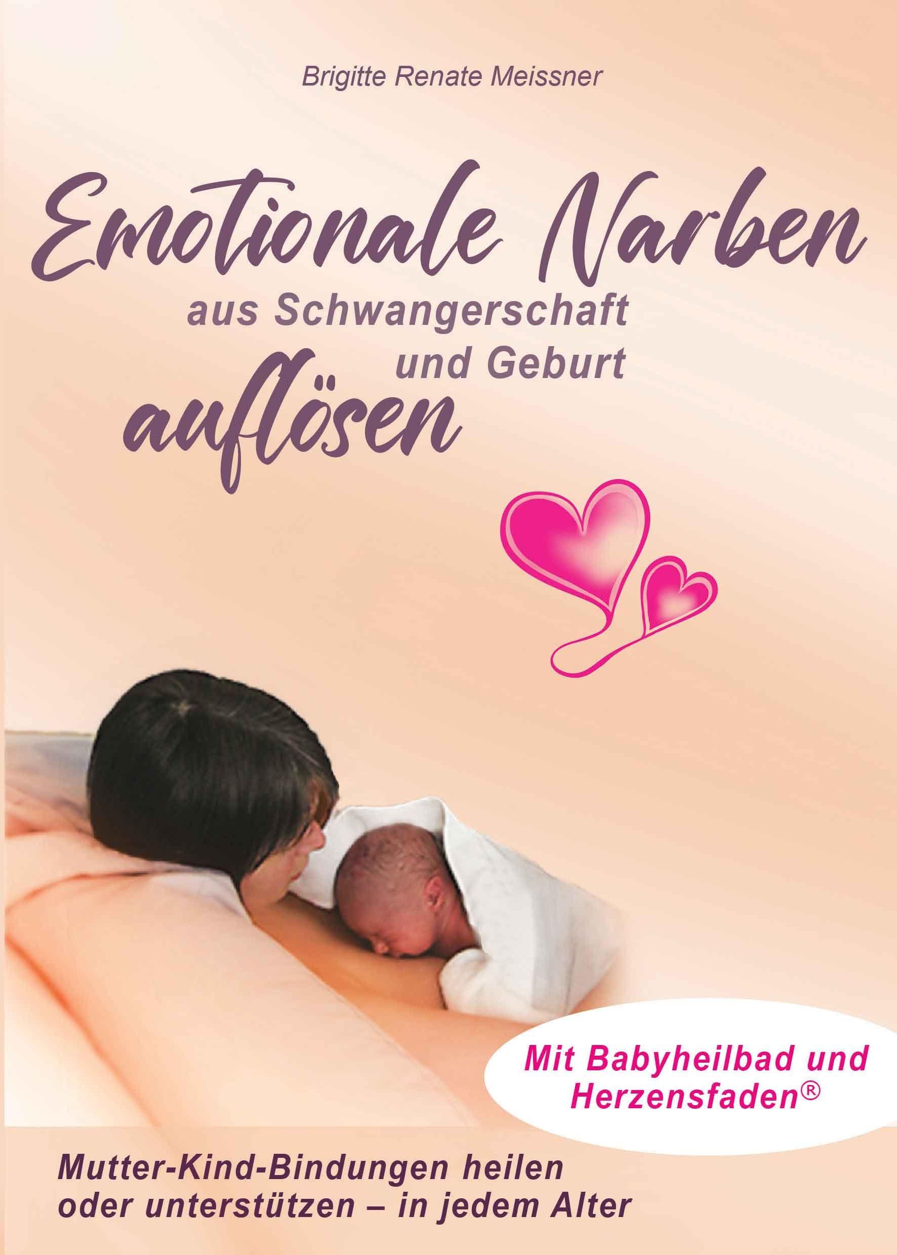 Vorderes Coverbild Emotionale Narben aus Schwangerschaft und Geburt auflösen