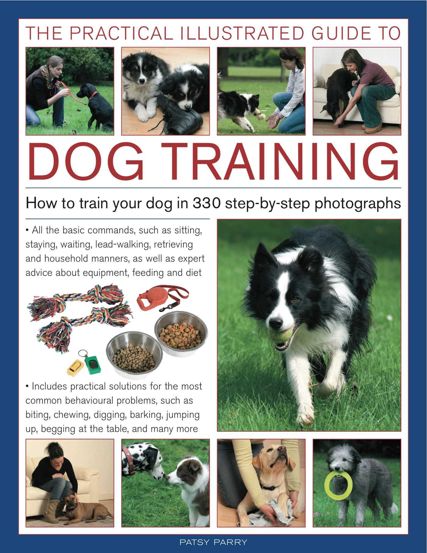 Vorderes Coverbild The Practical Illustrated Guide to Dog Training