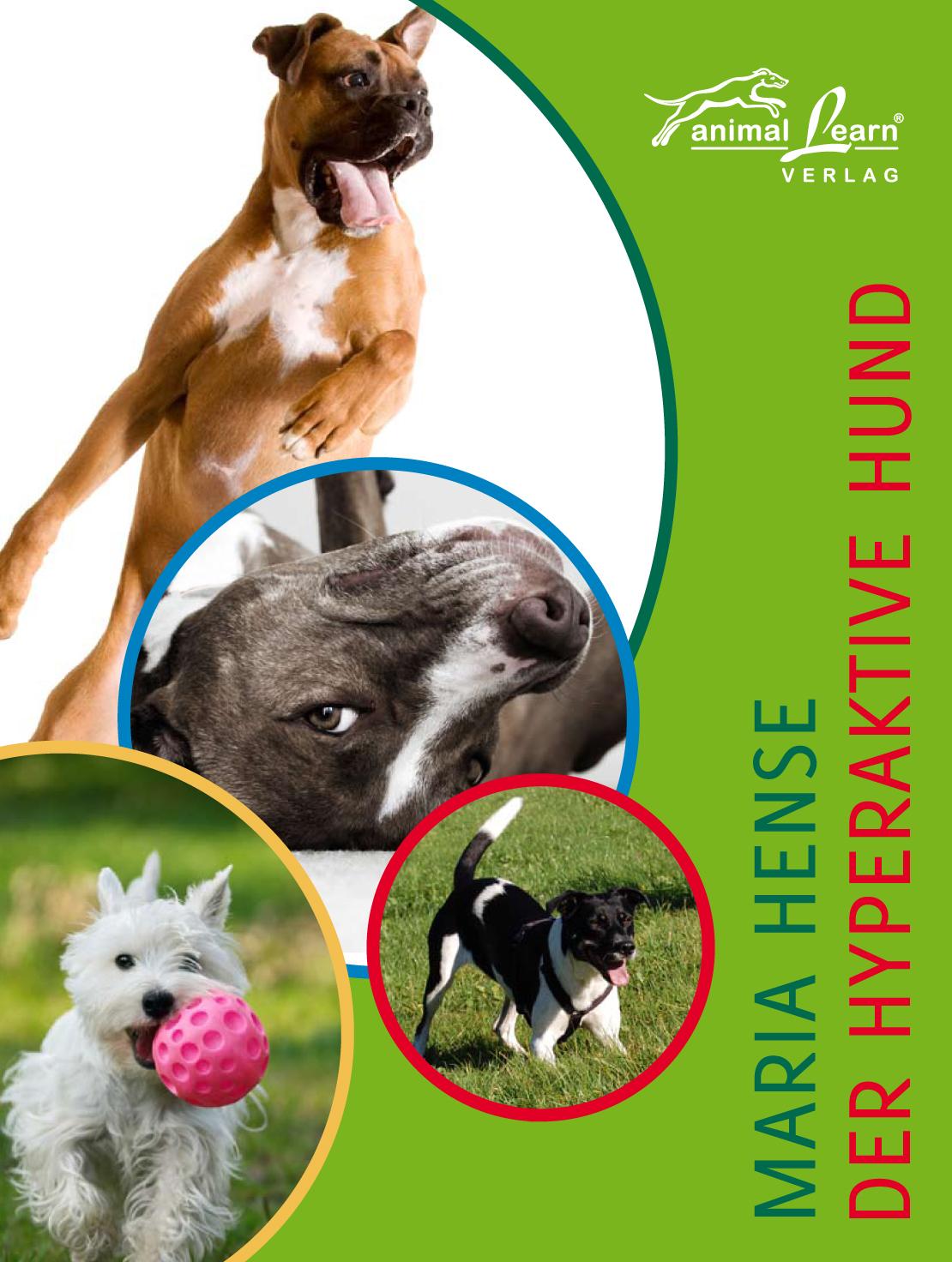 Vorderes Coverbild Der hyperaktive Hund