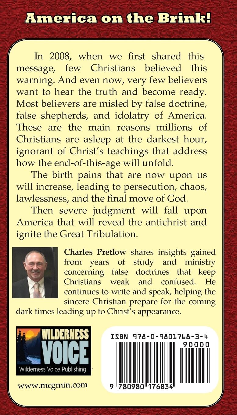 Rückseitencover America on the Brink!