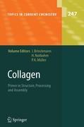 Vorderes Coverbild Technology Transfer in Biotechnology