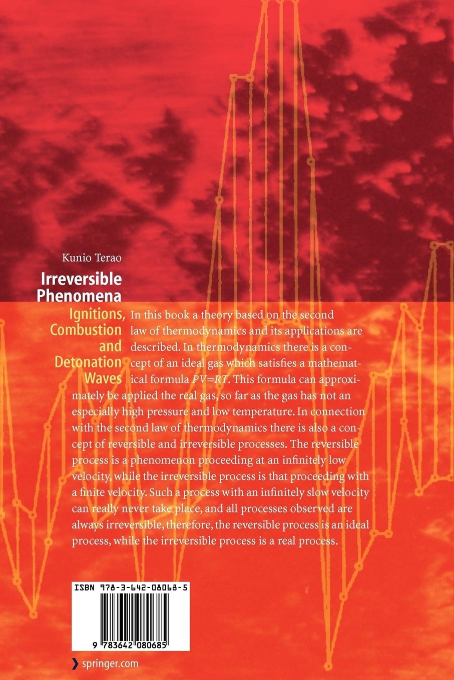 Rückseitencover Irreversible Phenomena