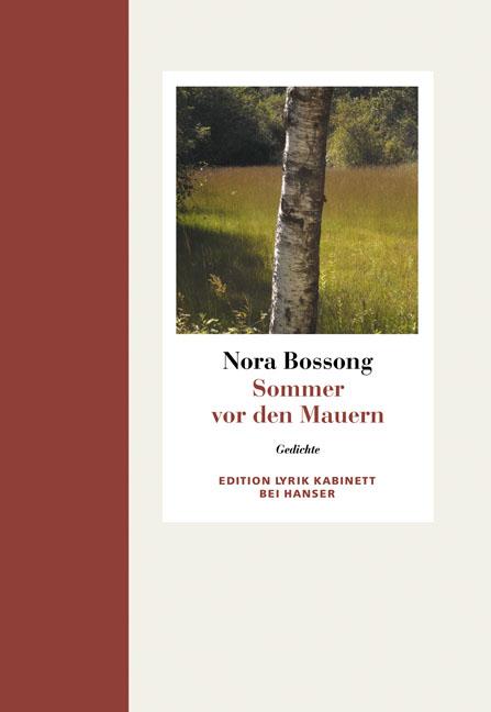Vorderes Coverbild Sommer vor den Mauern