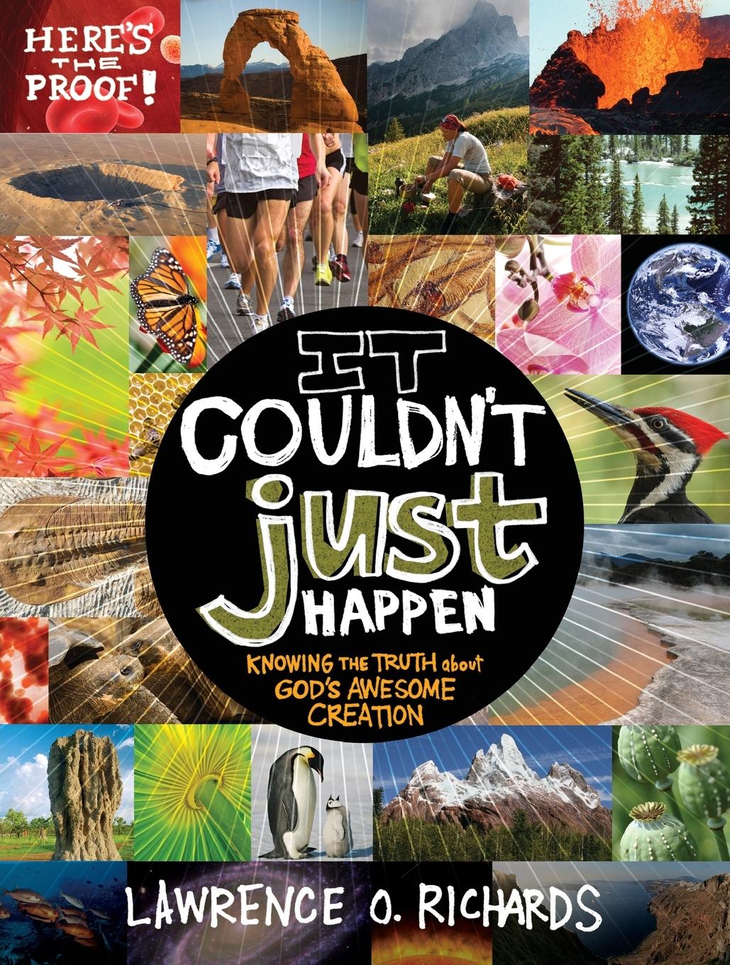 Vorderes Coverbild It Couldn't Just Happen | Softcover