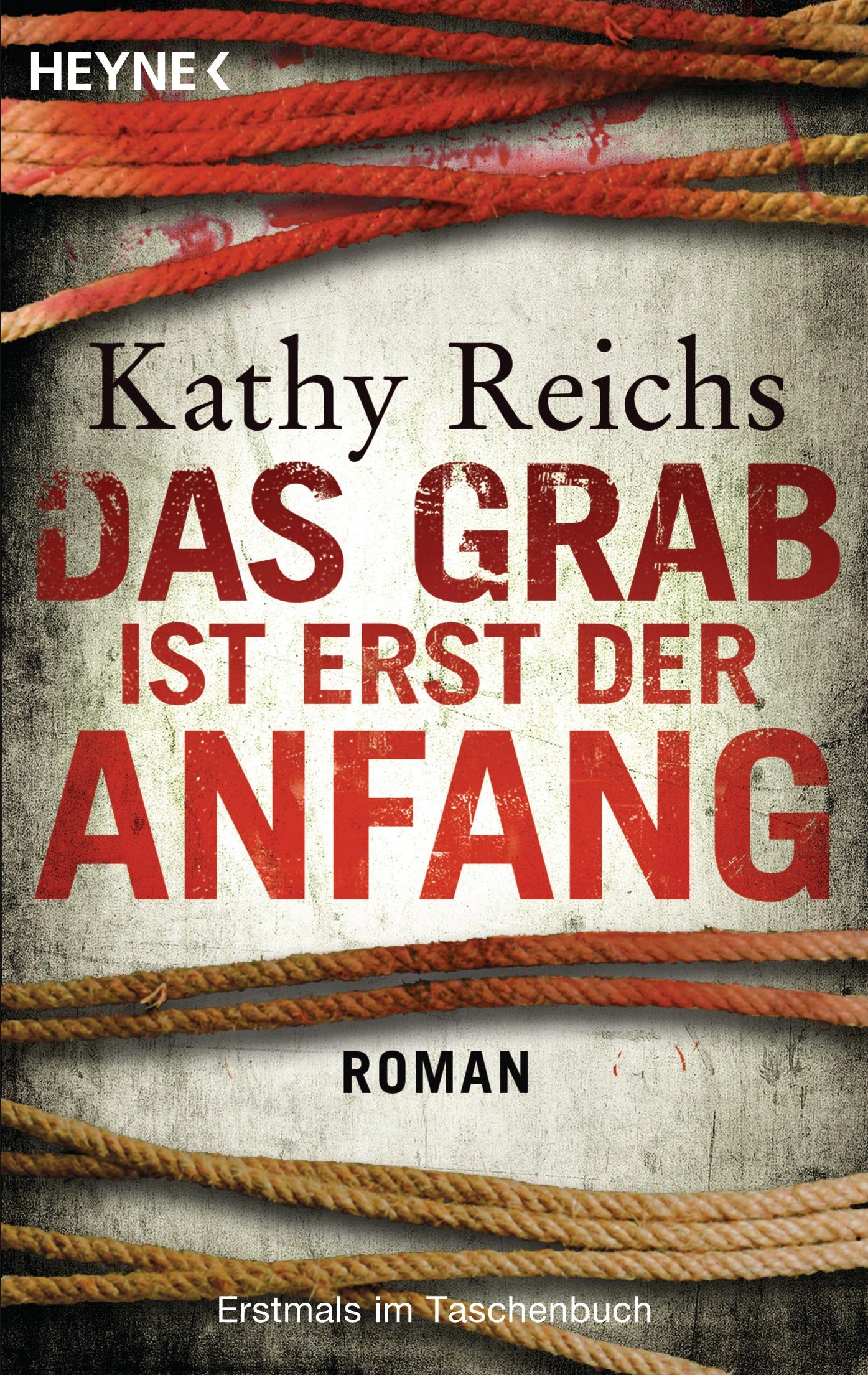 Vorderes Coverbild Das Grab ist erst der Anfang