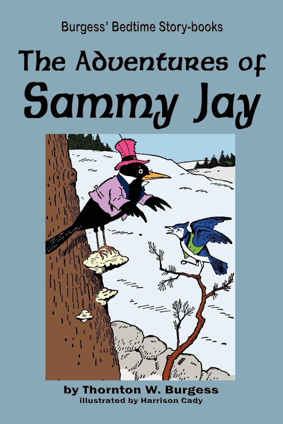 Vorderes Coverbild The Adventures of Sammy Jay