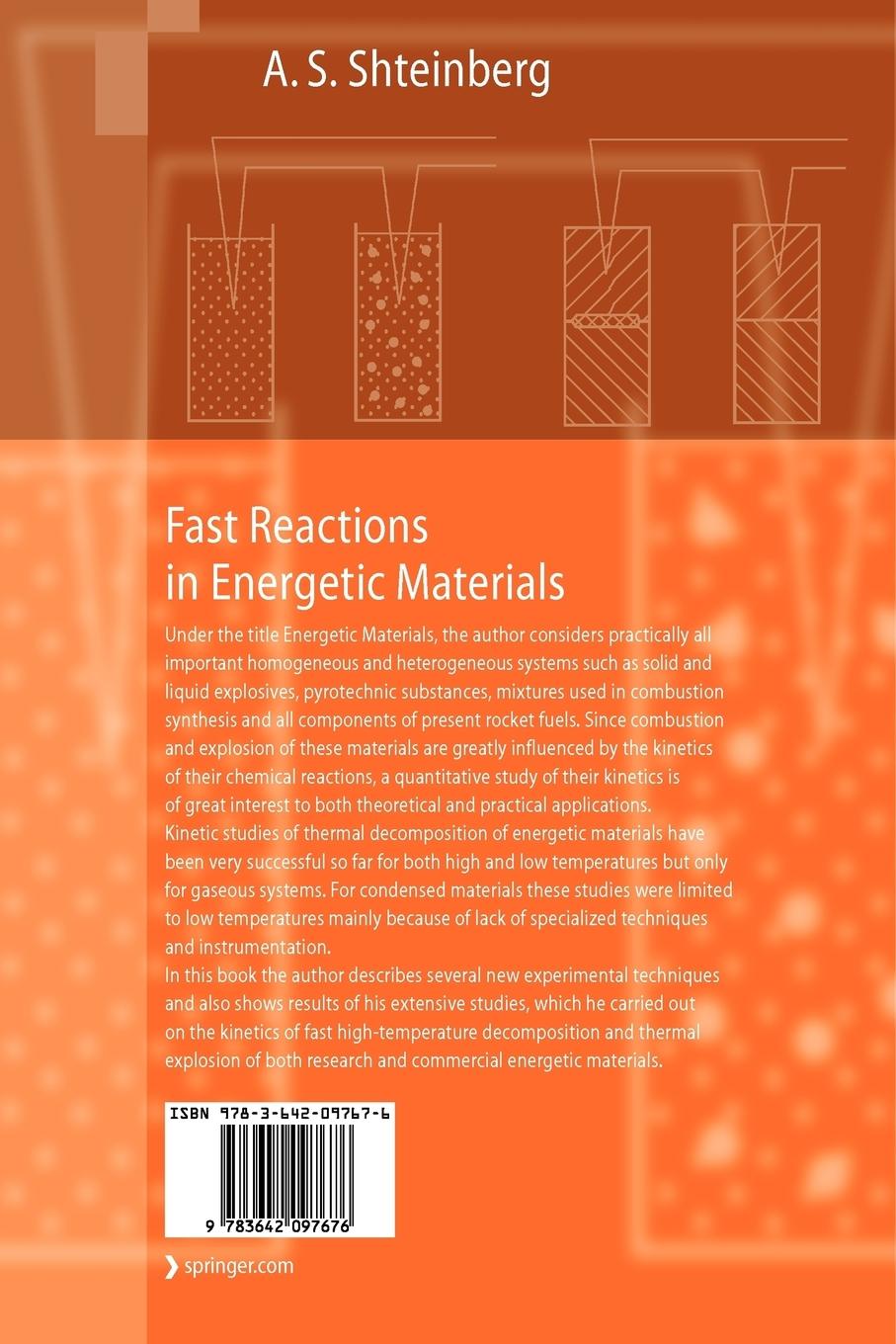 Rückseitencover Fast Reactions in Energetic Materials