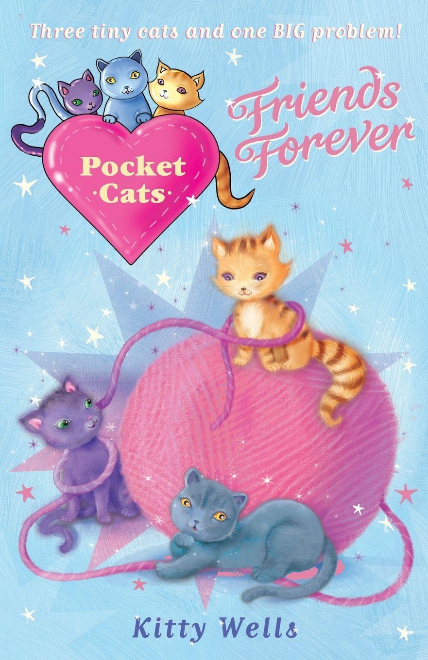 Vorderes Coverbild Pocket Cats