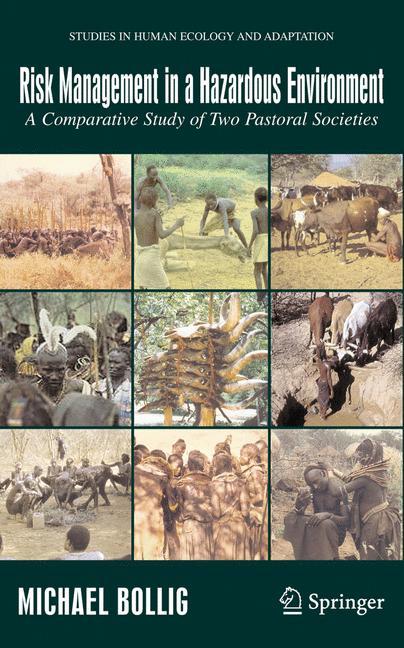 Vorderes Coverbild Risk Management in a Hazardous Environment