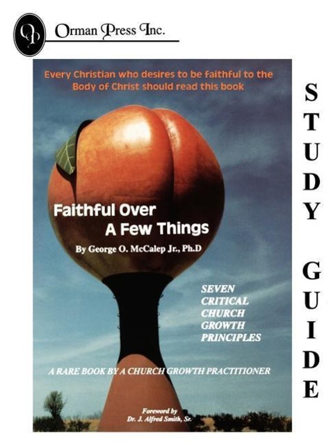 Vorderes Coverbild Faithful Over a Few Things Study Guide