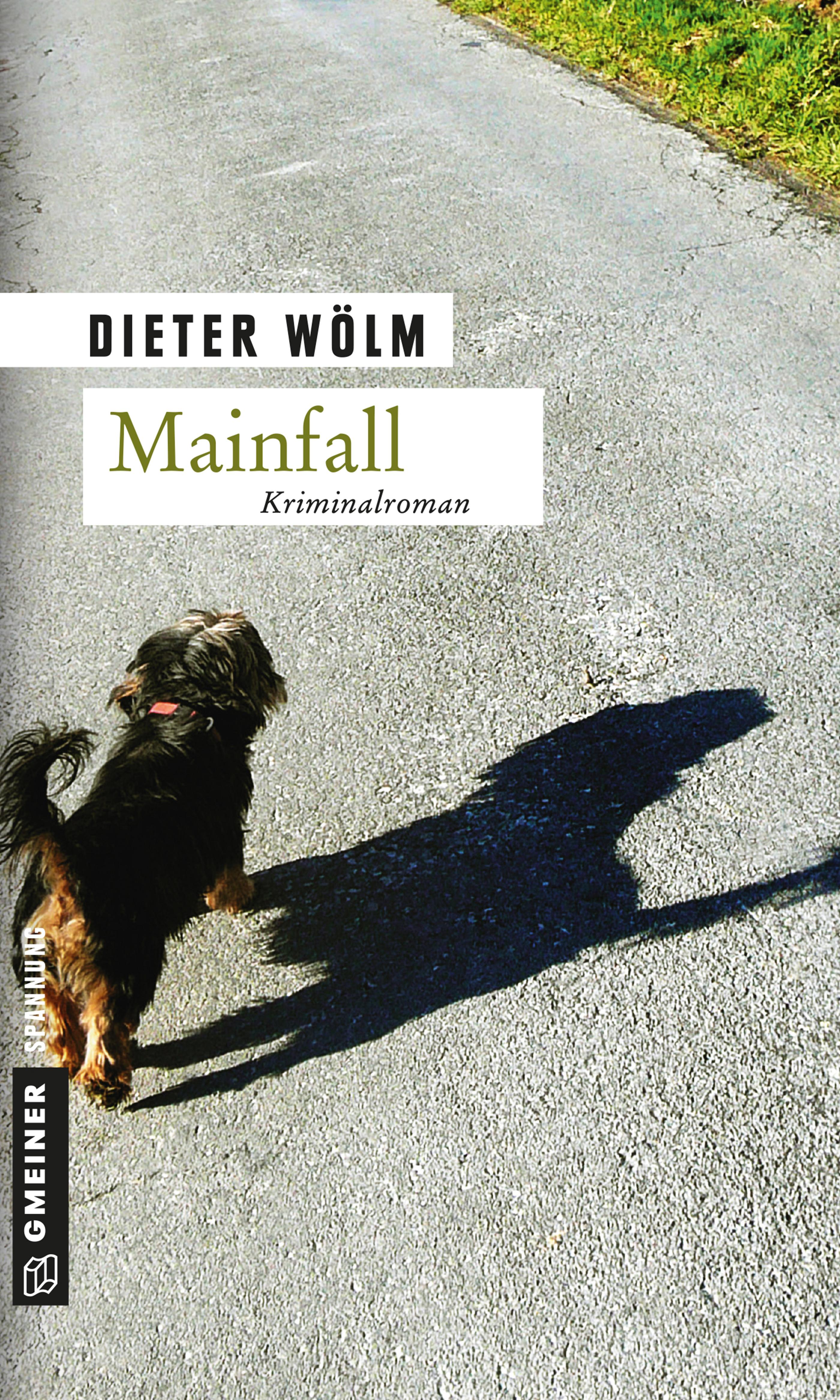 Vorderes Coverbild Mainfall