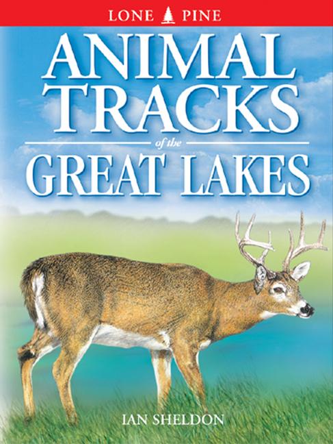 Vorderes Coverbild Animal Tracks of the Great Lakes