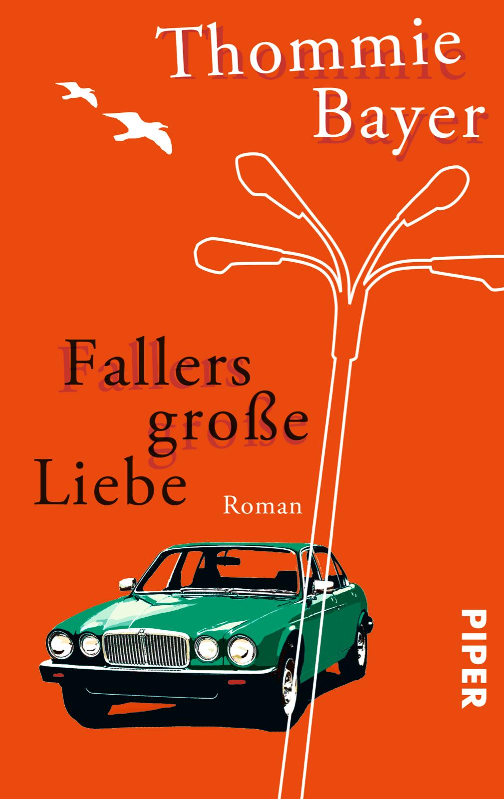 Vorderes Coverbild Fallers große Liebe
