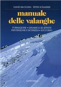 Vorderes Coverbild Manuale delle valanghe. Formazione. Dinamica ed effetti. Prevenzione e sicurezza. Soccorso