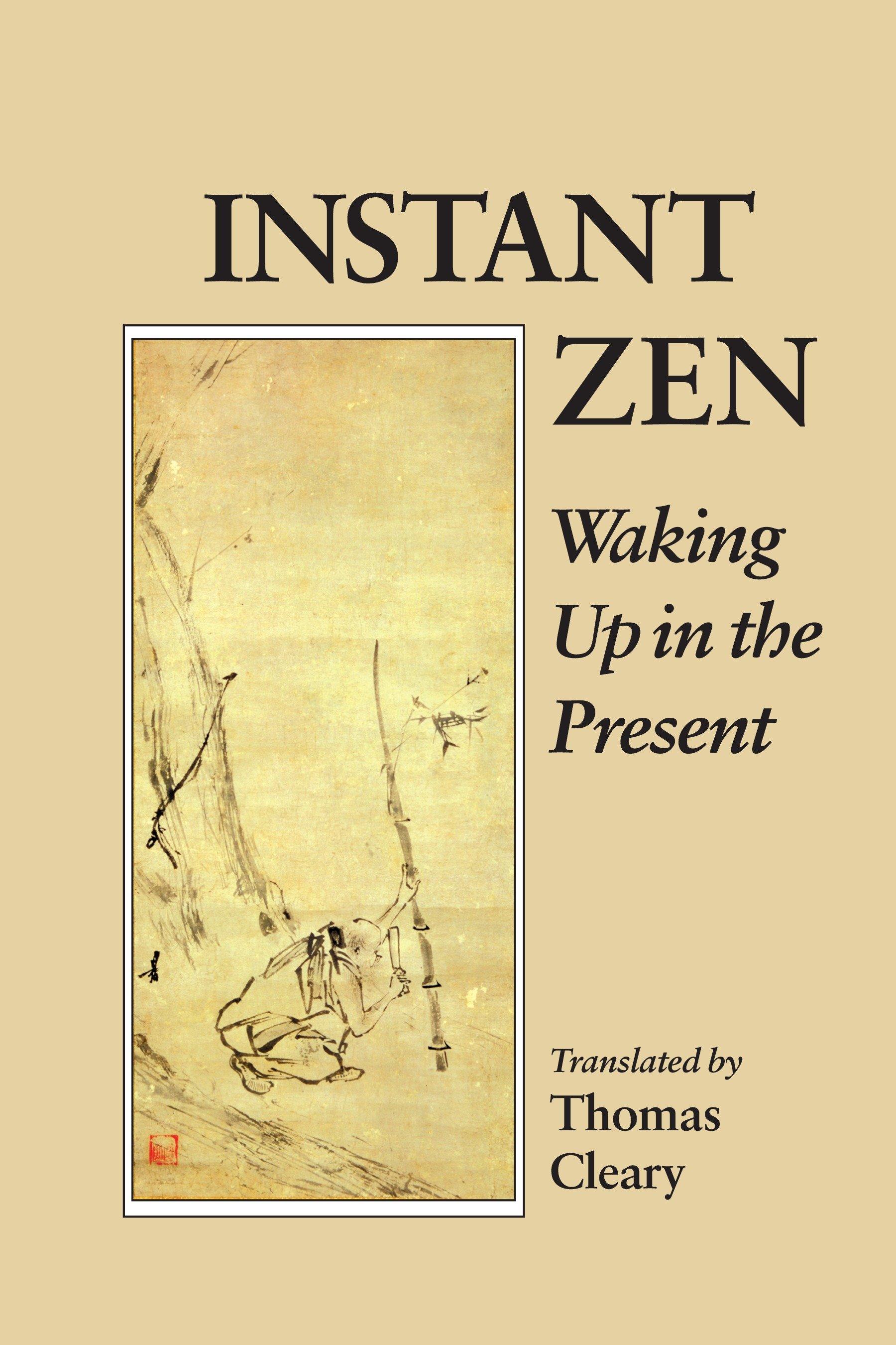 Vorderes Coverbild Instant Zen
