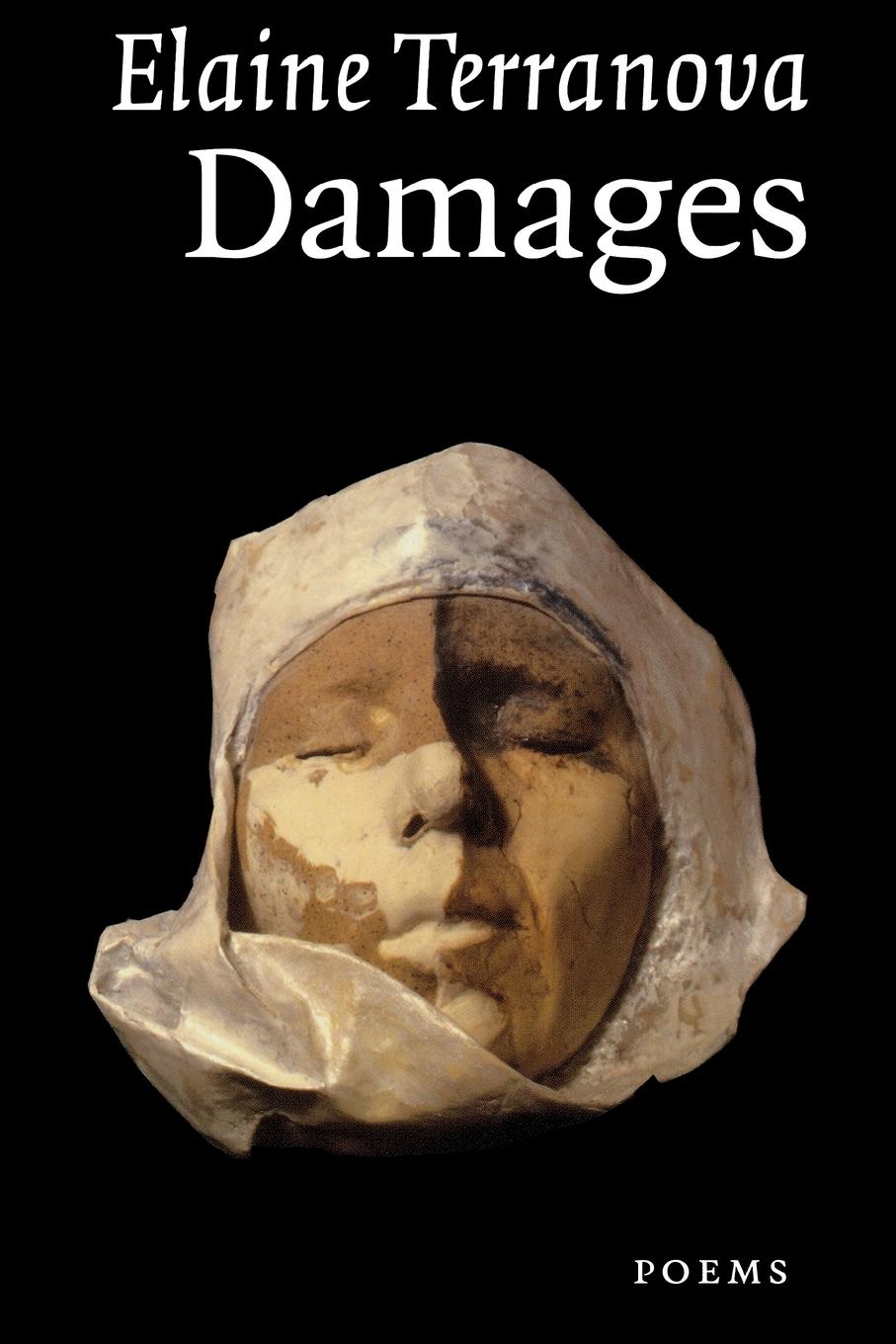 Vorderes Coverbild Damages