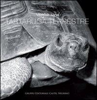 Vorderes Coverbild Voglio una tartaruga terrestre