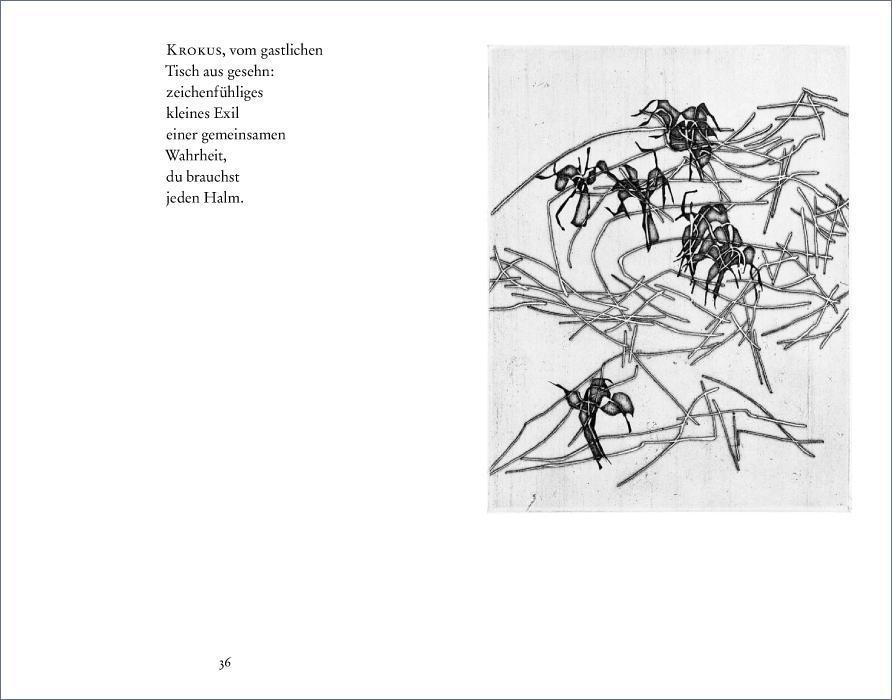 Beispielinhalt (Bild) Gedichte