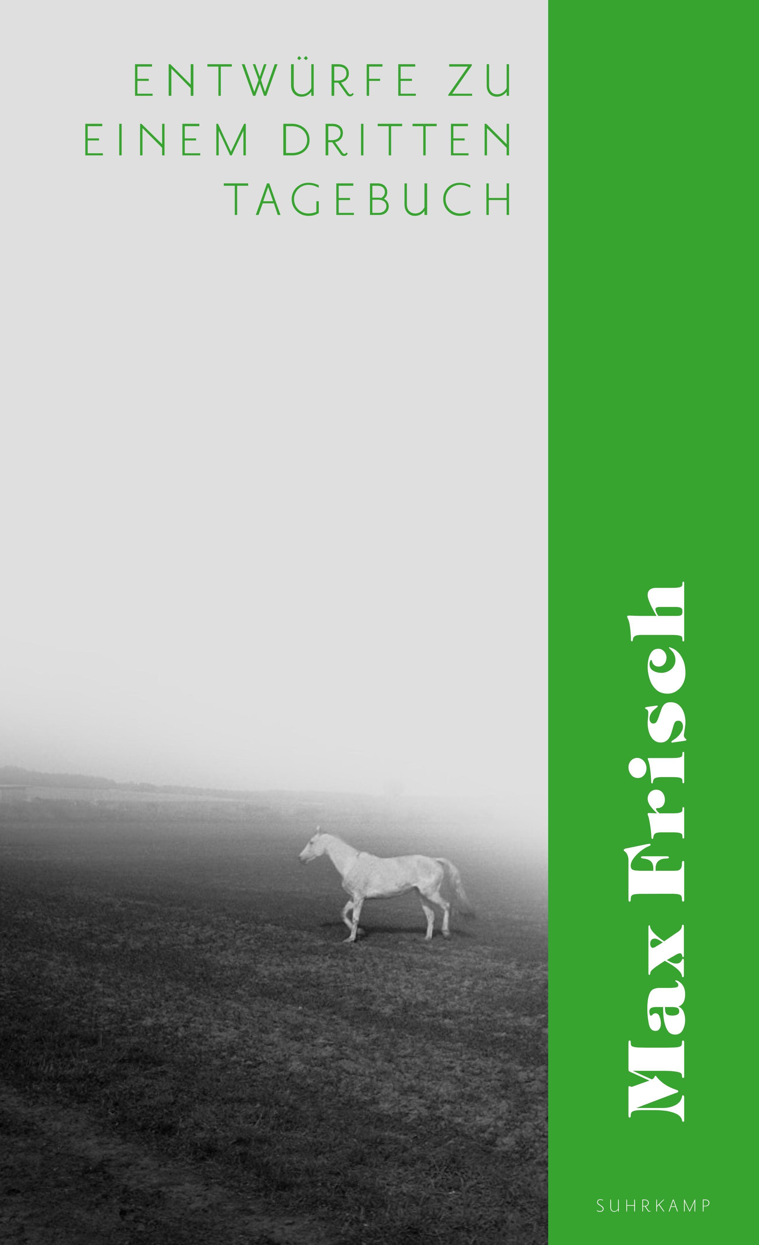 Vorderes Coverbild Entwürfe zu einem dritten Tagebuch