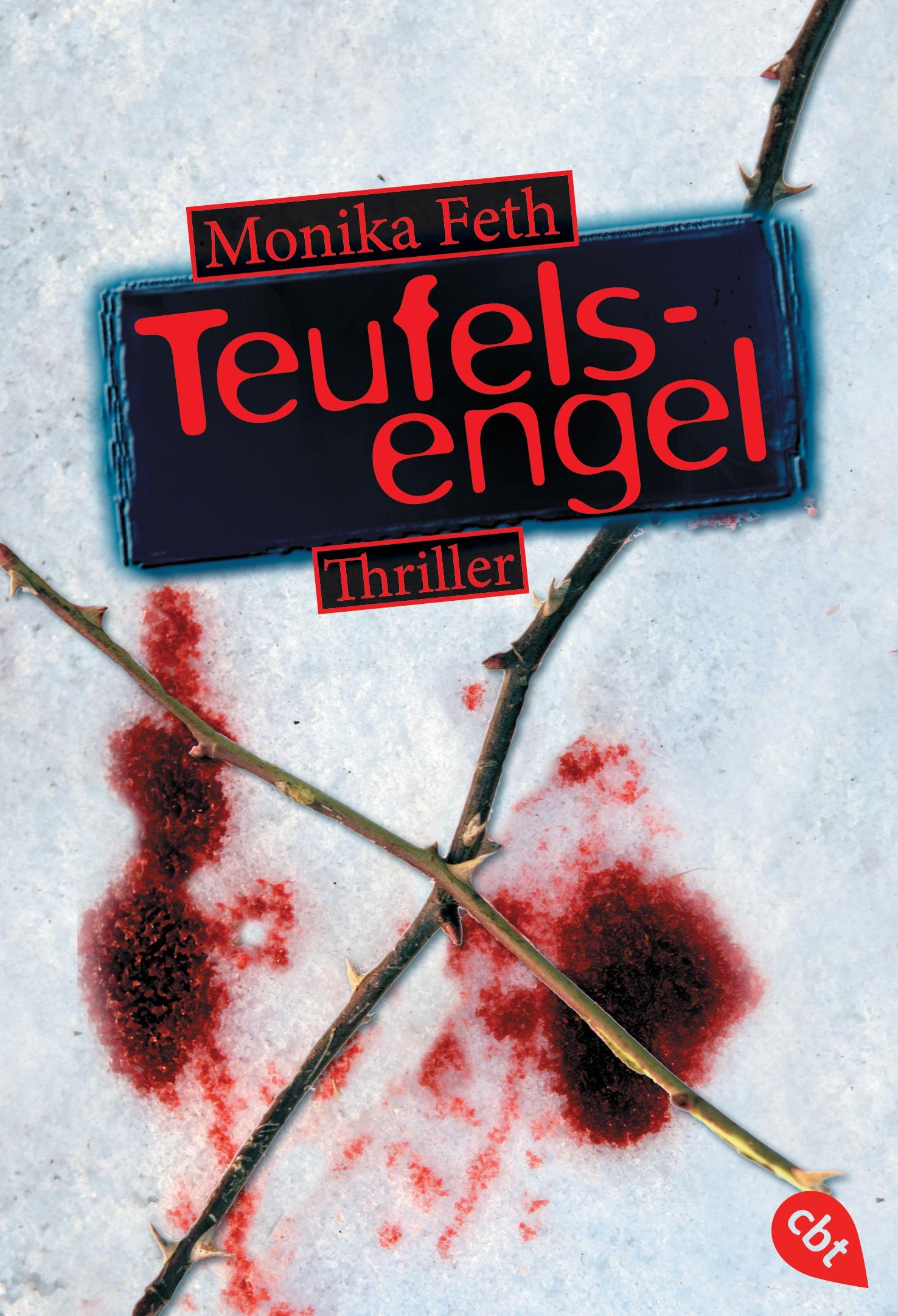 Vorderes Coverbild Teufelsengel