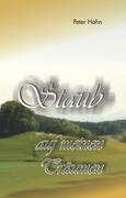 Vorderes Coverbild Staub auf meinen Träumen