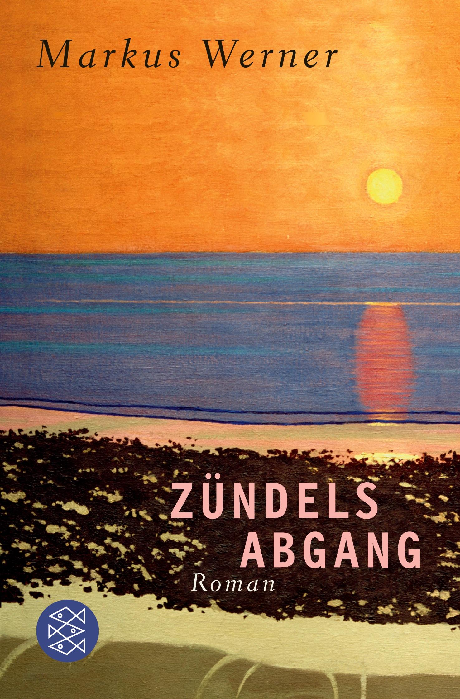 Vorderes Coverbild Zündels Abgang