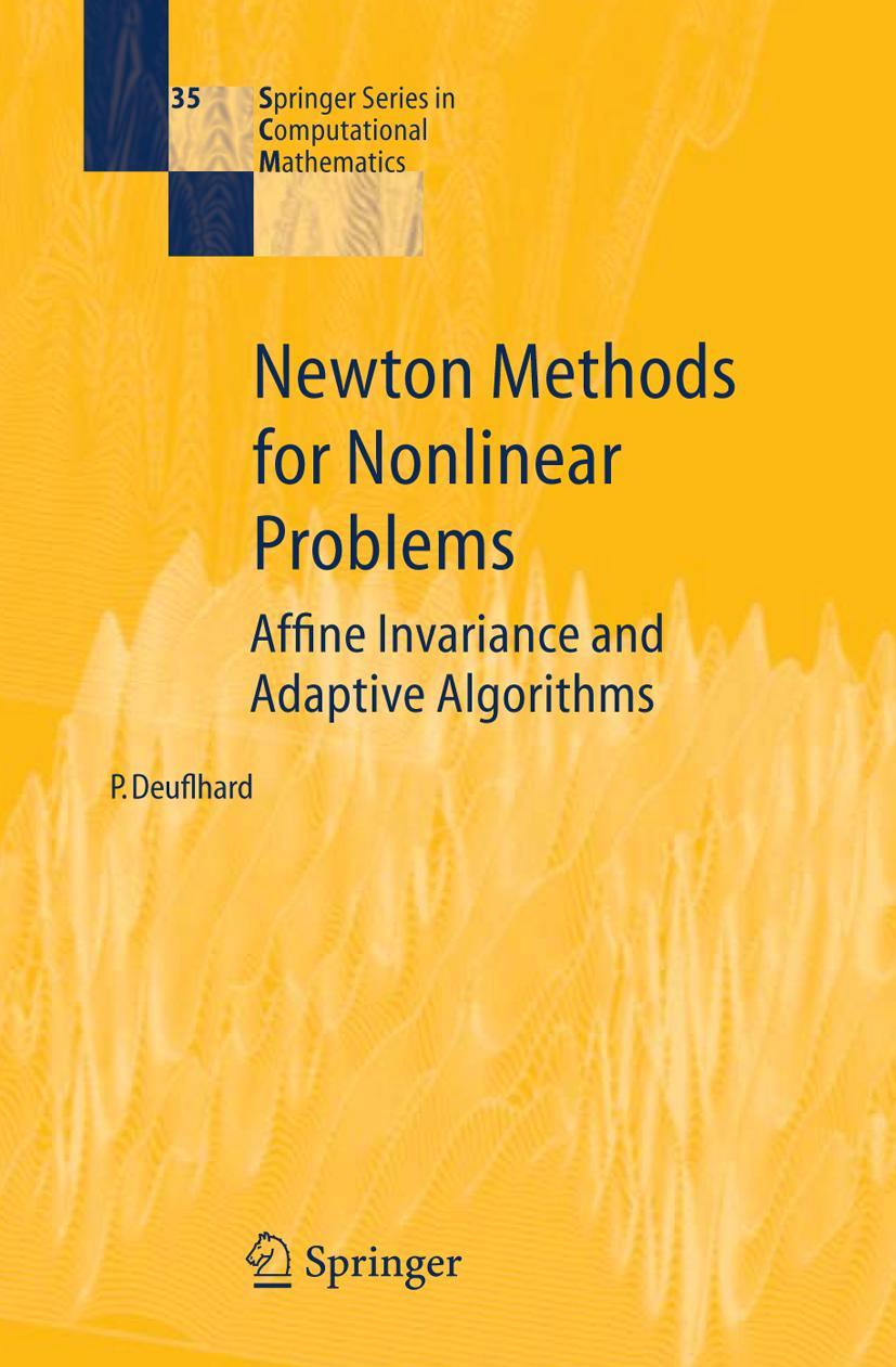 Vorderes Coverbild Newton Methods for Nonlinear Problems