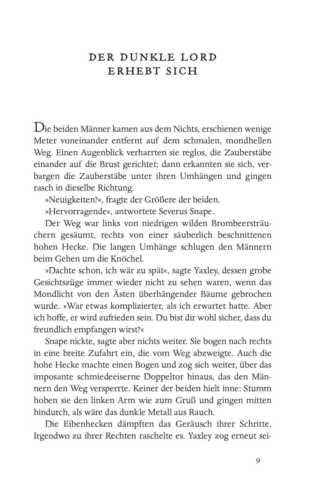 Beispielinhalt (Bild) Harry Potter 7 und die Heiligtümer des Todes