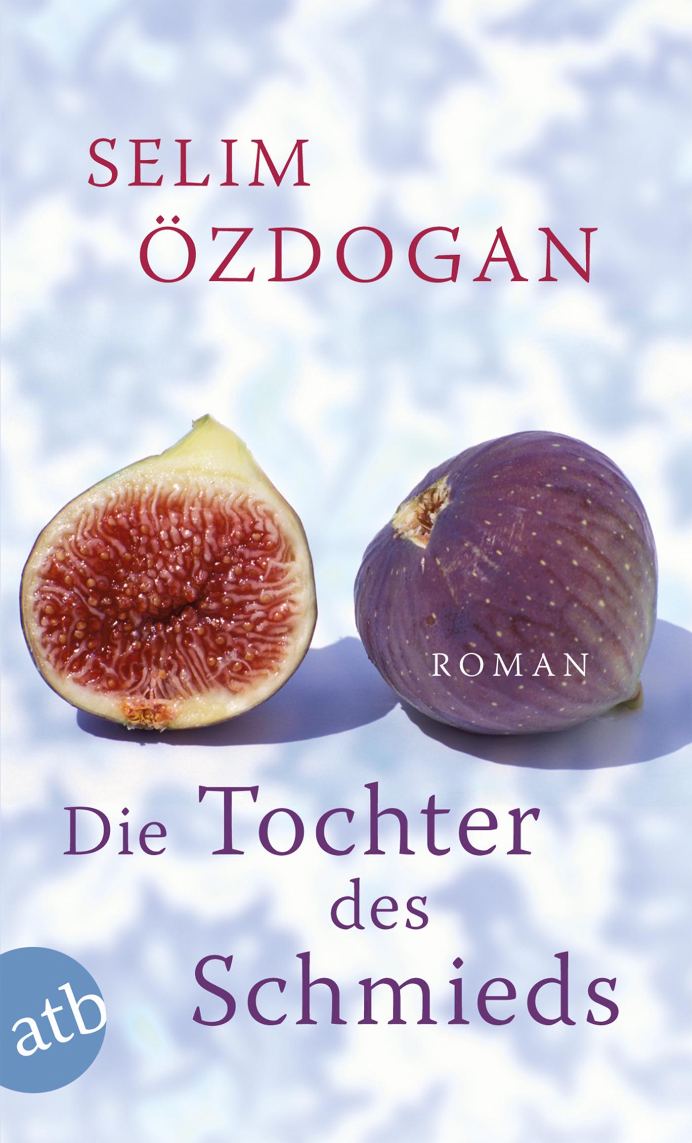 Vorderes Coverbild Die Tochter des Schmieds