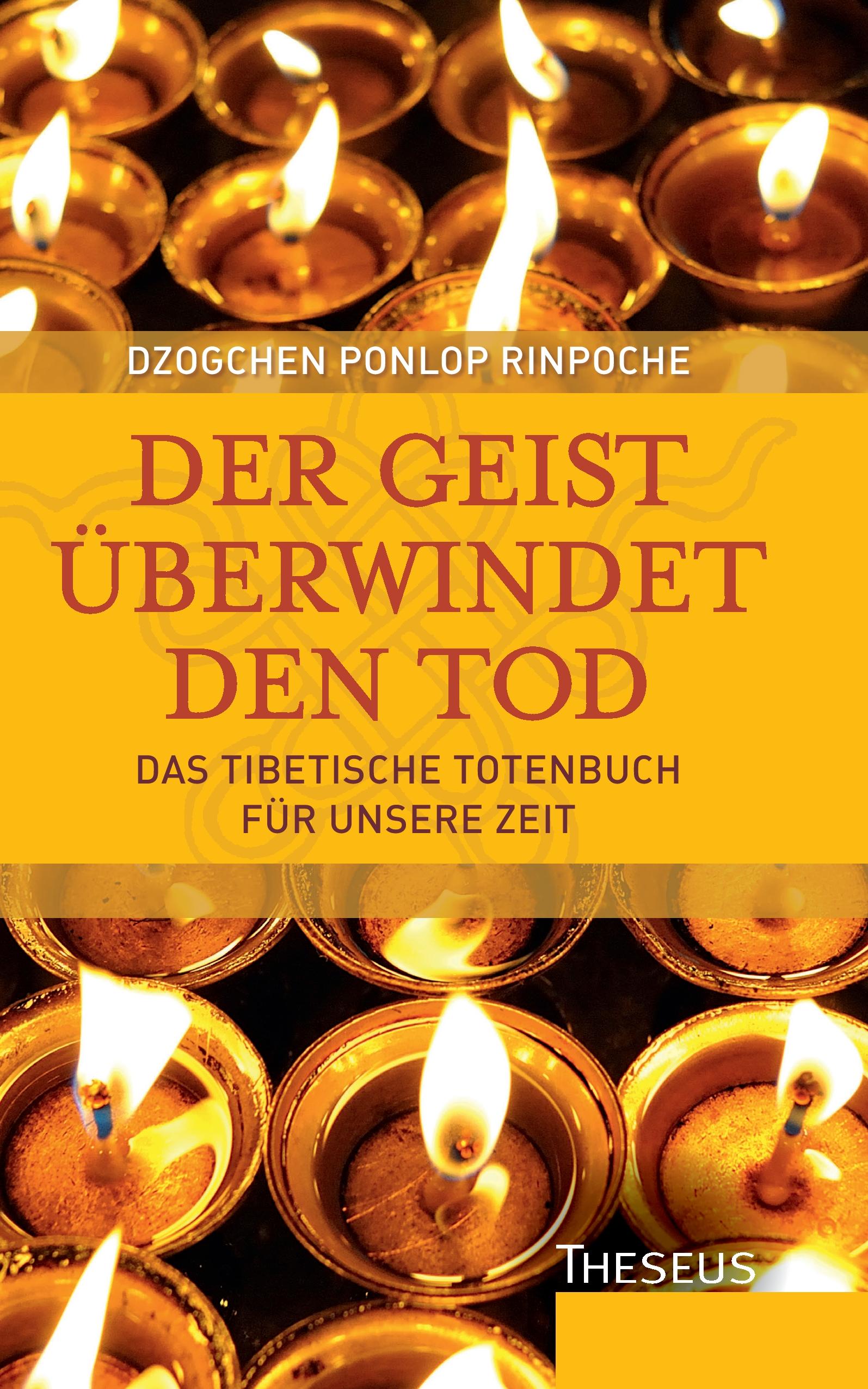 Vorderes Coverbild Der Geist überwindet den Tod