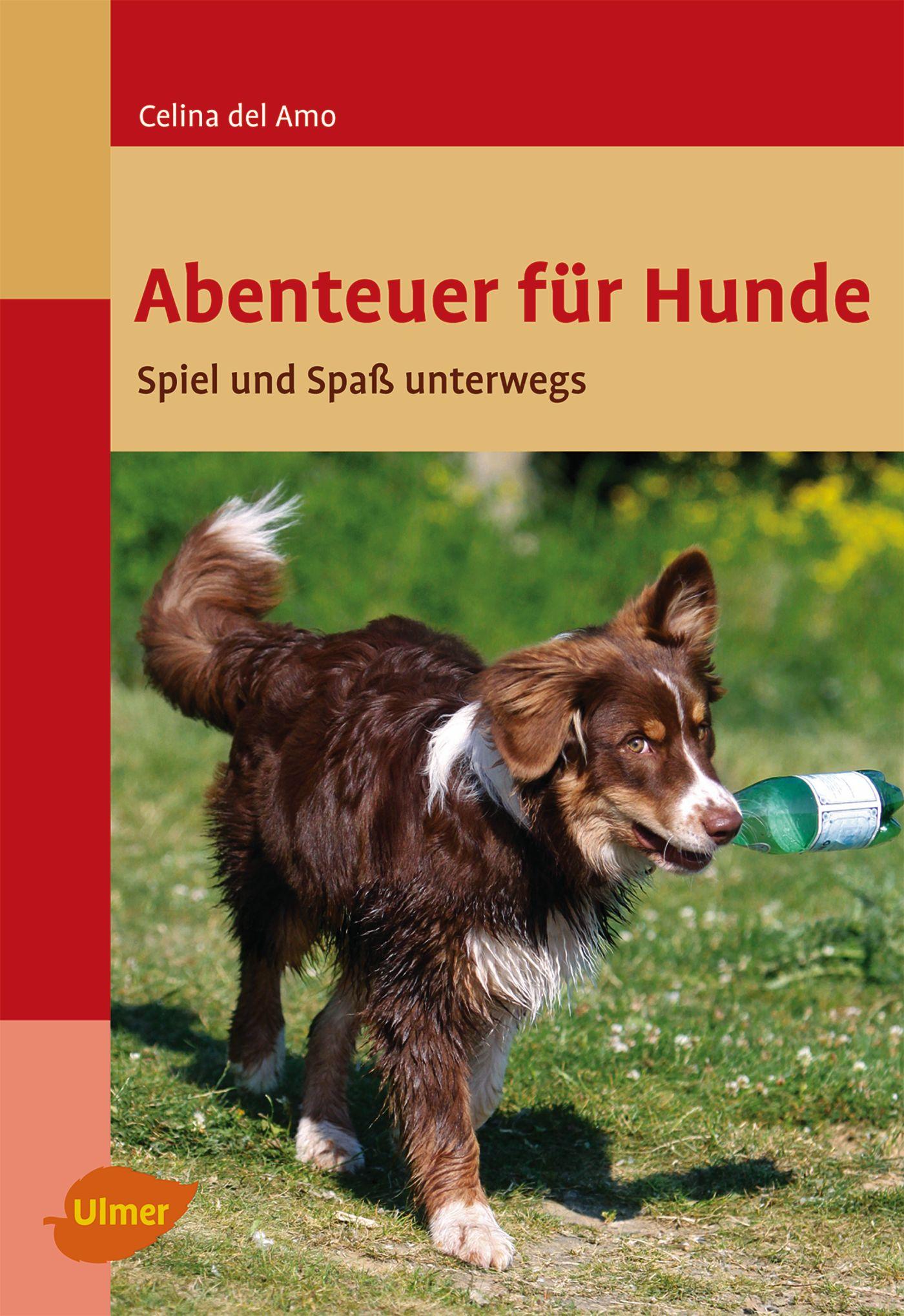 Vorderes Coverbild Abenteuer für Hunde